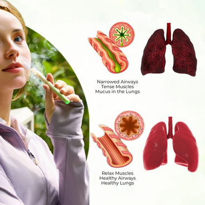 Mullein Aroma Diffuser – Relief for Cough, Congestion & Breathing Comfort💝